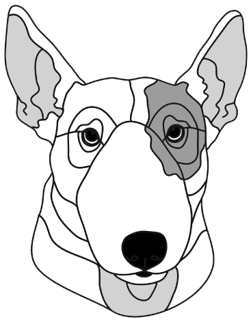Bull Terrier head #2