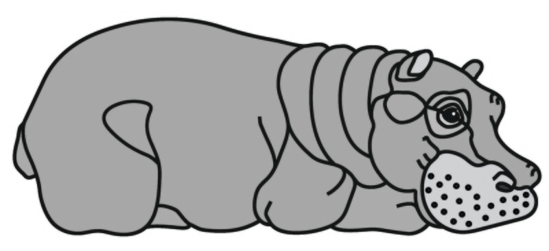 Hippo