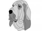 Bloodhound Head