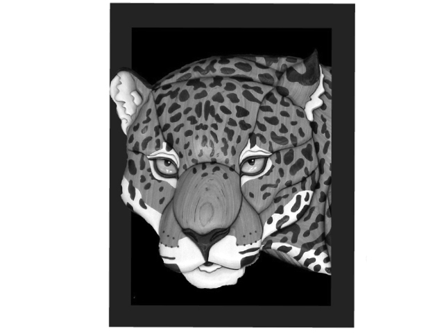 Jaguar Head in Frame