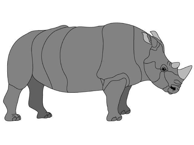 Rhino