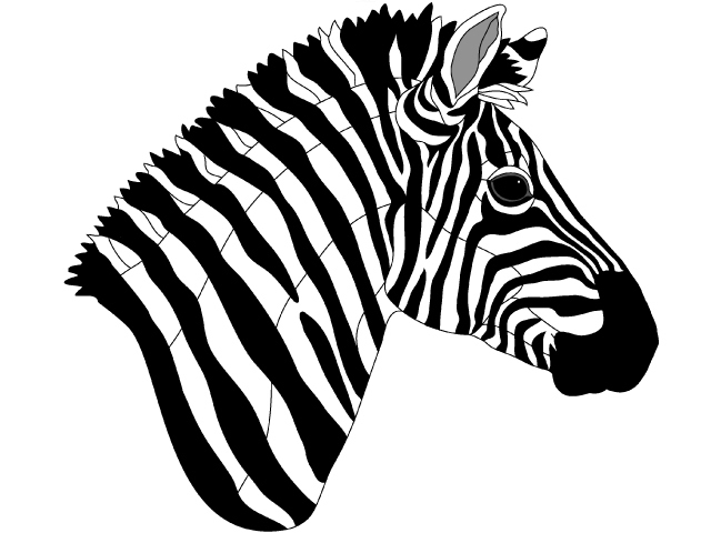 Zebra Expert Pattern