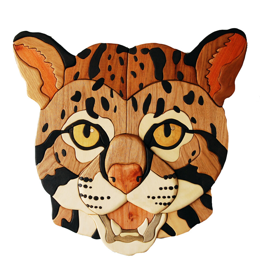 Ocelot head