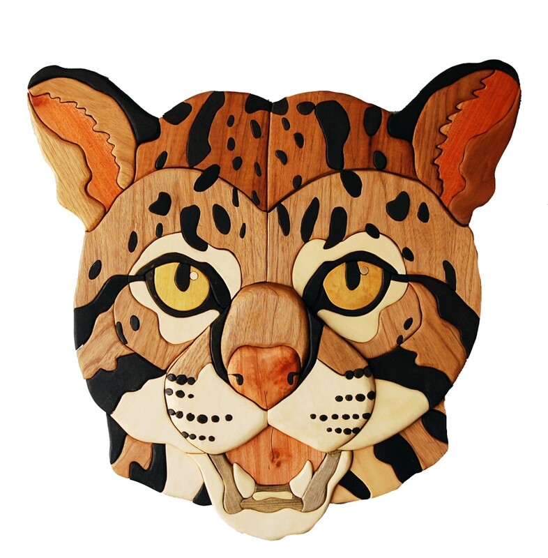 Ocelot head