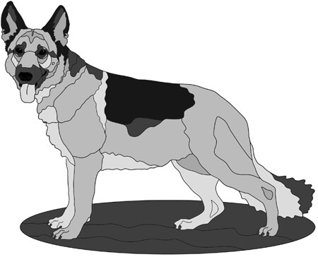 German Shepherd Standing #2