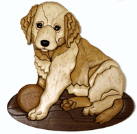 Puppies