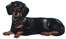 Dogs C- E