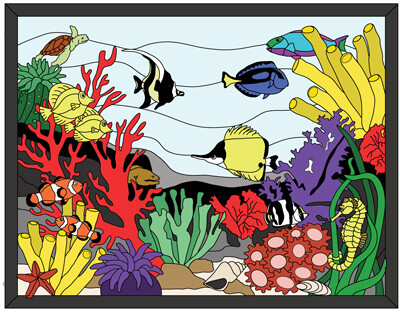 Coral Reef Expert Large size