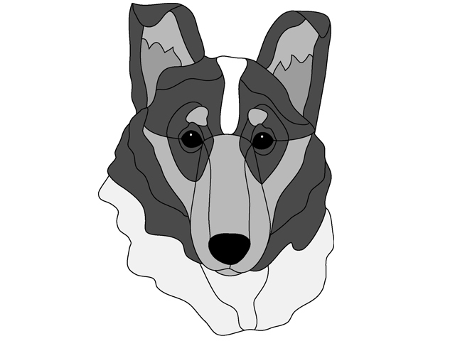 Smooth Collie Head