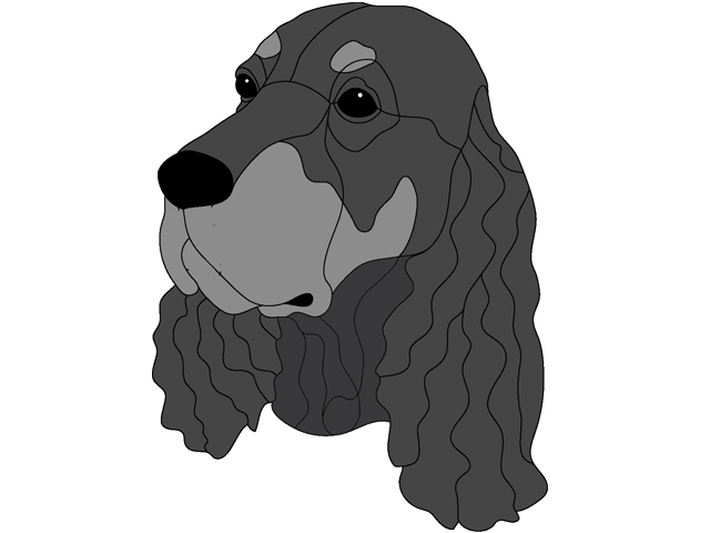 Gordon Setter