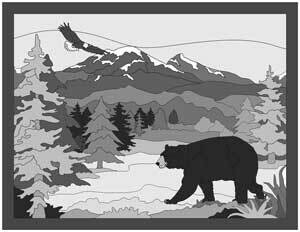Bear Woods