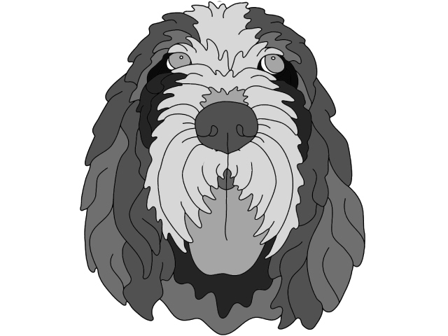 Spinola Italiano Head
