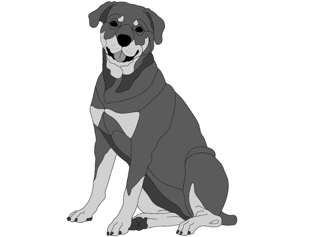 Rottweiler Sitting