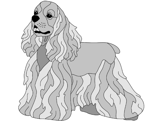 Cocker Spaniel Standing