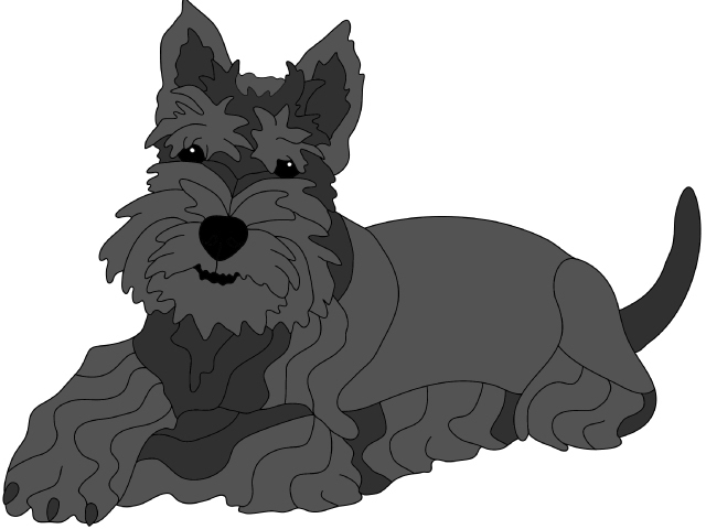 Scottish Terrier Lying