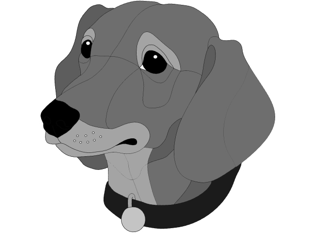 Dachshund Head