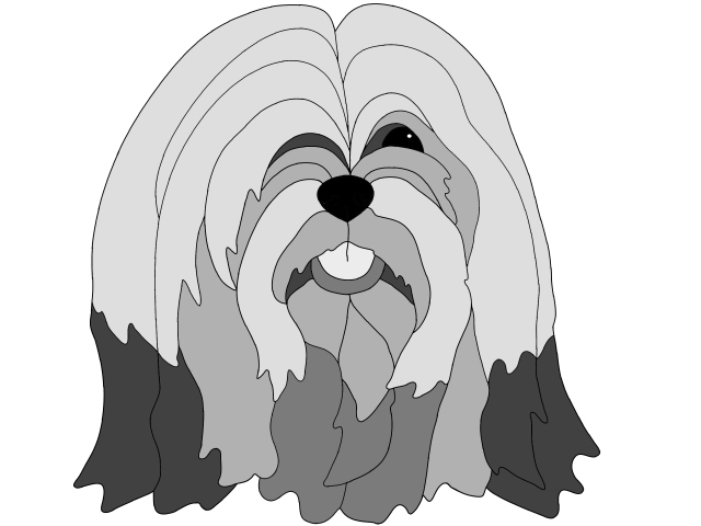 Lhasa Apso Head