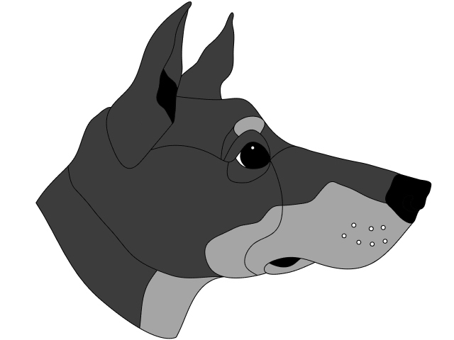 Doberman Head