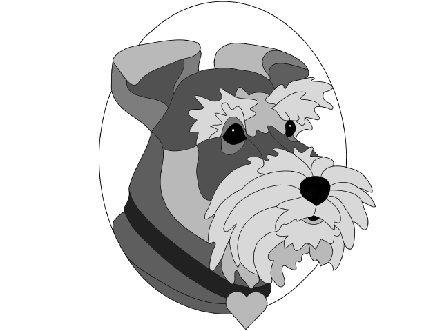 Schnauzer Sweetheart