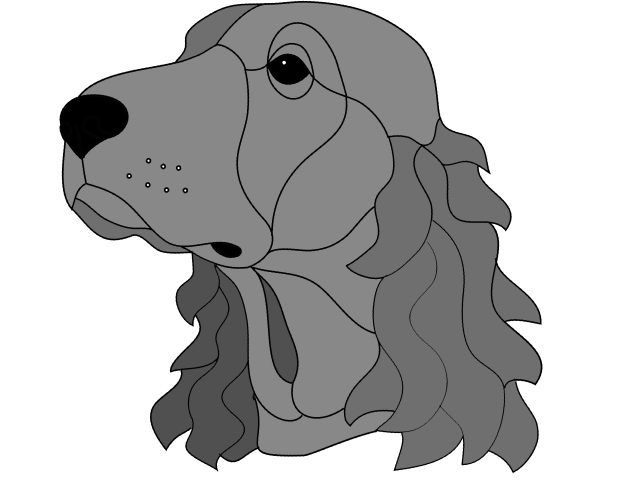 Irish Setter Head