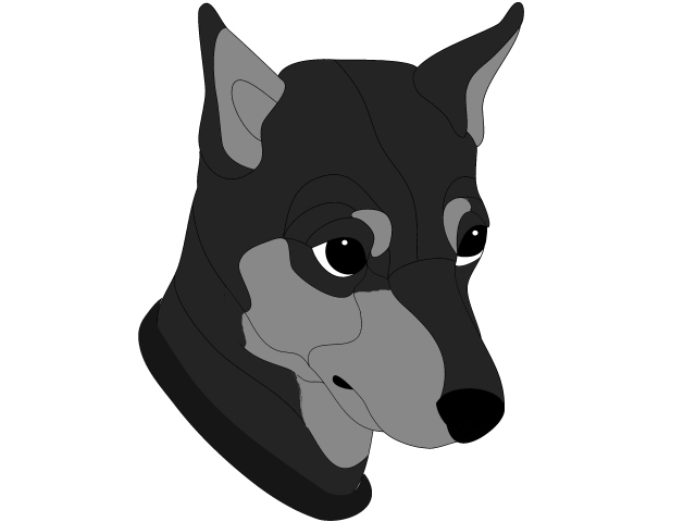German Pinscher Head
