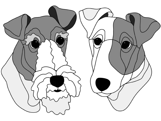 Fox Terrier Wire &amp; Smooth