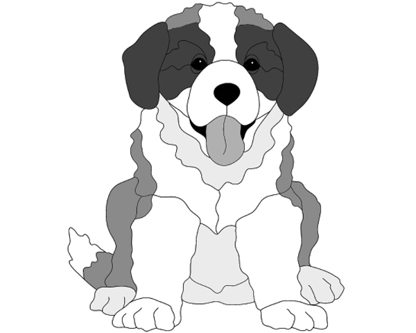 St. Bernard Puppy