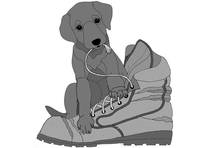 Labrador Puppy with Boot
