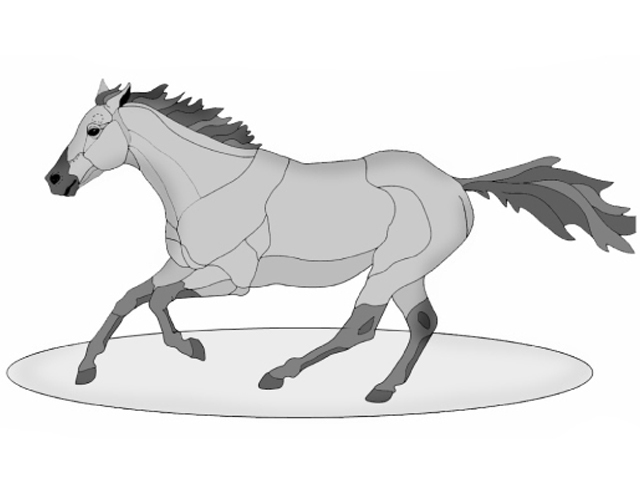 Galloping Horse