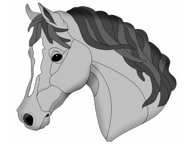Bay Arab Head