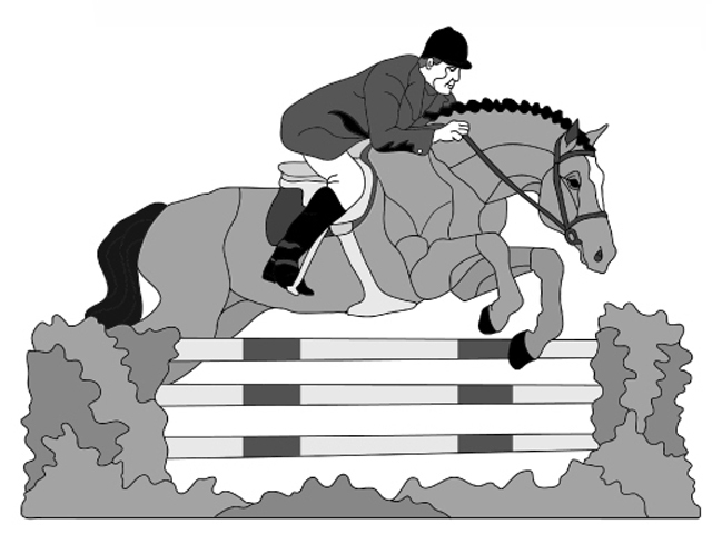 Jumper and Rider