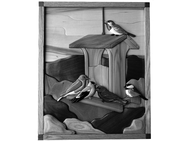 Song Bird Feeder