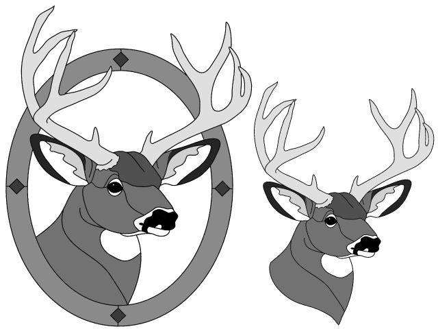 Mule Deer Head