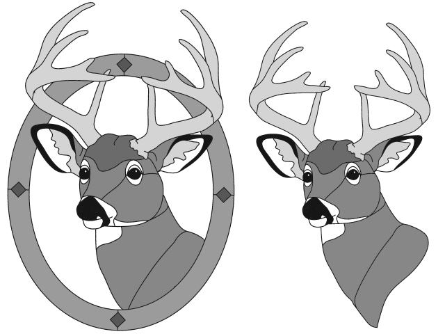 Whitetail Deer Head