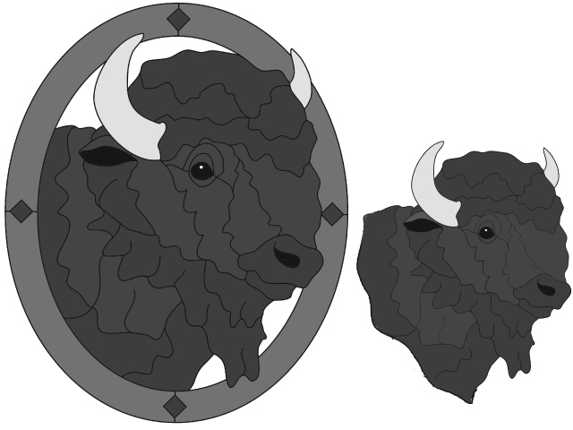 Bison Head