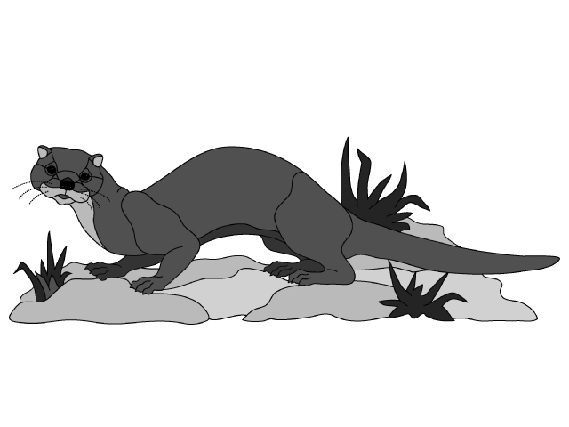 River Otter