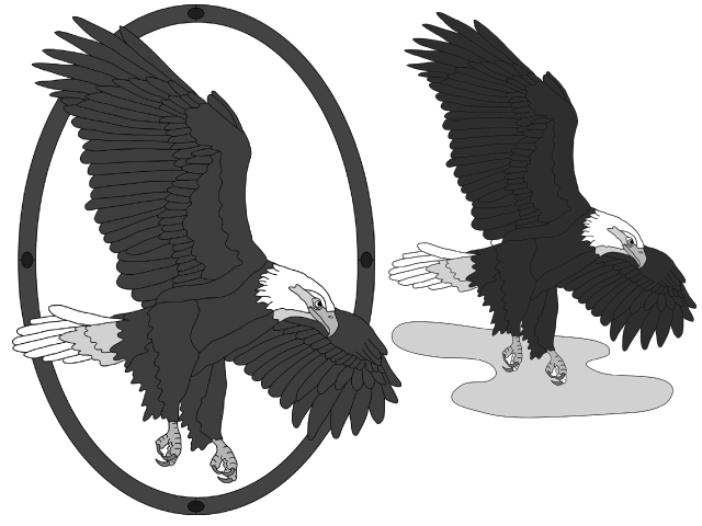 Flying Eagle w/oval frame