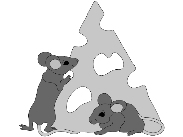 Mice and Cheese