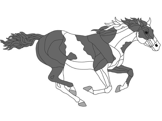 Running Paint Horse