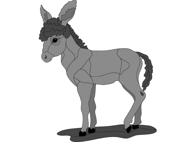 Baby Burro