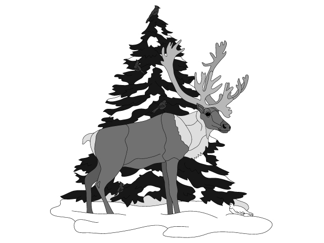 Caribou and Tree