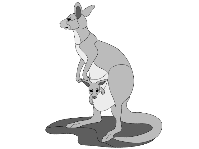 Kangaroo and Baby