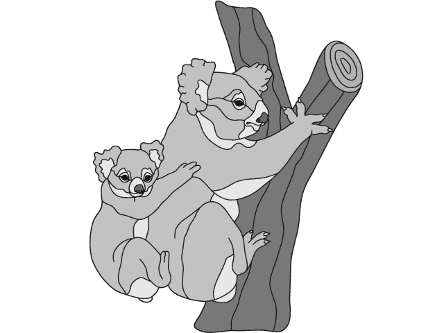 Koala &amp; Baby