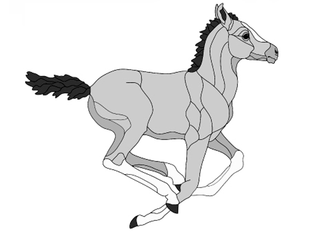 Running Colt