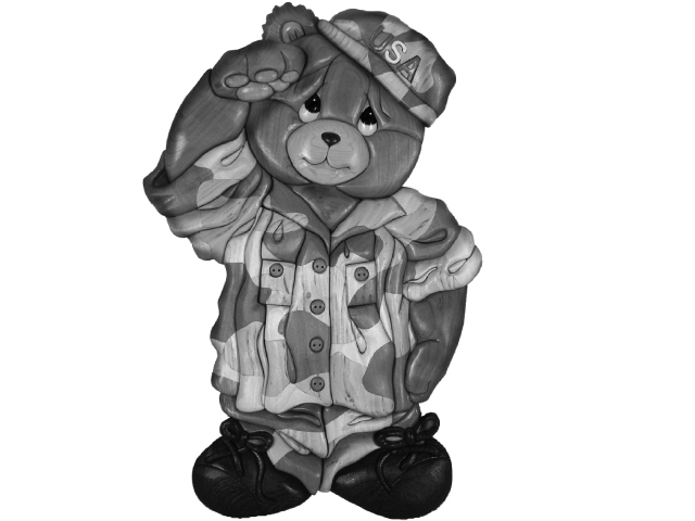 Soldier Bear