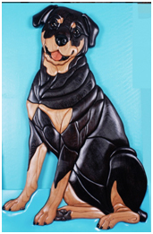 Rottweiler Sitting Lifesize