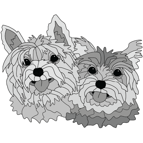 Yorkshire Pair