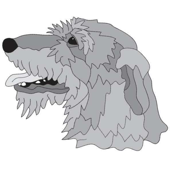 Irish Wolfhound Head