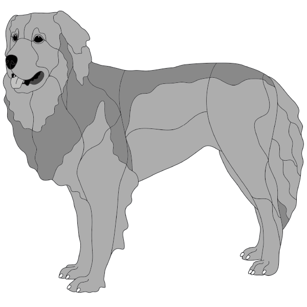 Tibetan Mastiff