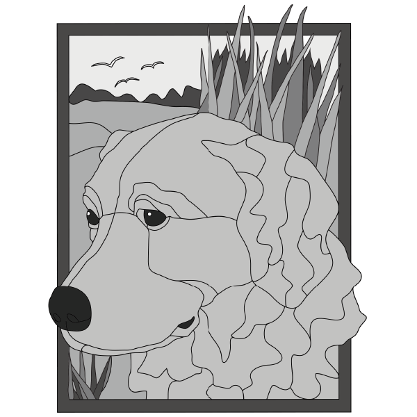 Hunting Golden Retriever